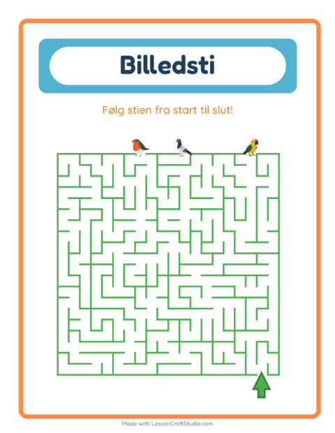 Vælg den rigtige vej – Fugle 2