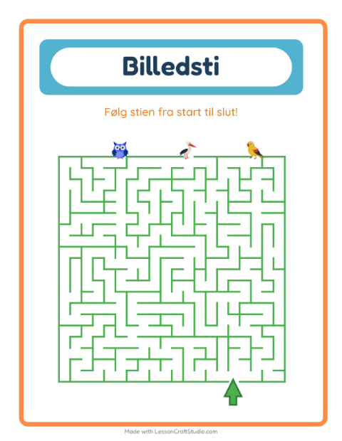 Vælg den rigtige vej – Fugle