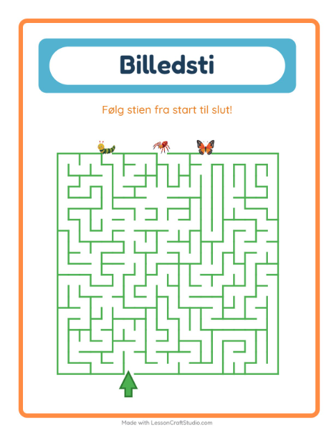 Vælg den rigtige vej – Insekter og kryb