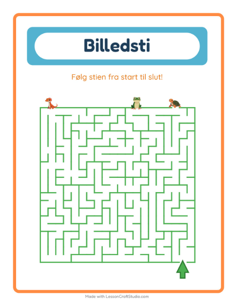 Vælg den rigtige vej – Krybdyr og padder