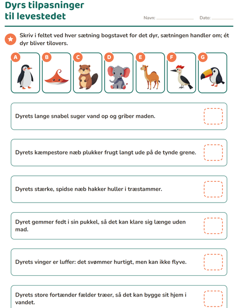 Forhåndsvisning af Dyrs tilpasninger til levestedet – find dyret til hver sætning – 2. klasse