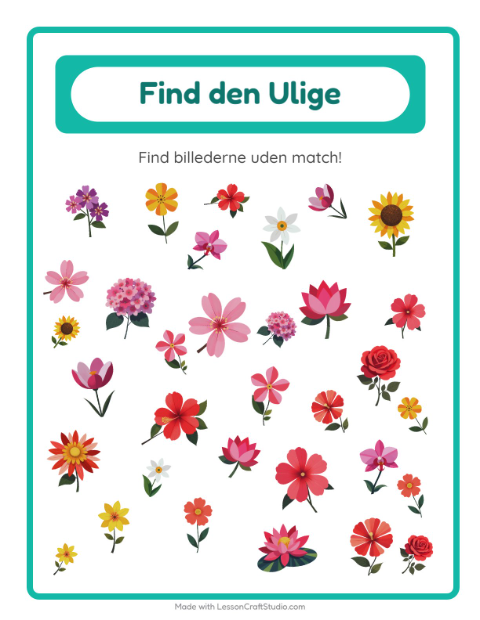 Forhåndsvisning af Find det, der er anderledes: blomster – opgave til børnehaveklassen