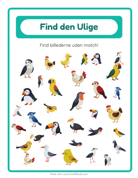 Find det anderledes – Fugle 2