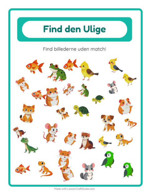 Find det anderledes – Kæledyr
