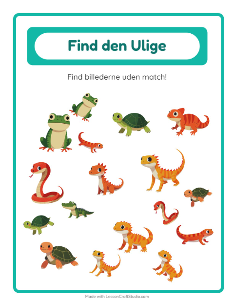 Find det anderledes – Krybdyr og padder