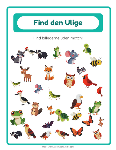 Find det anderledes – Skovdyr