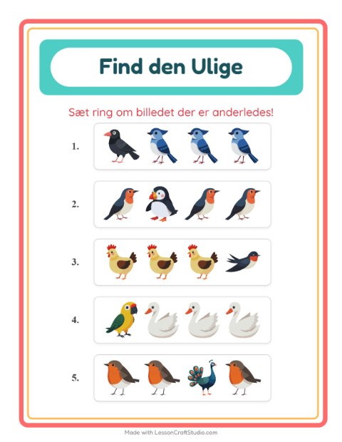 Hvad passer ikke? – Fugle 2