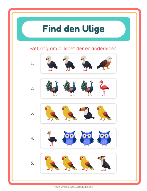 Hvad passer ikke? – Fugle