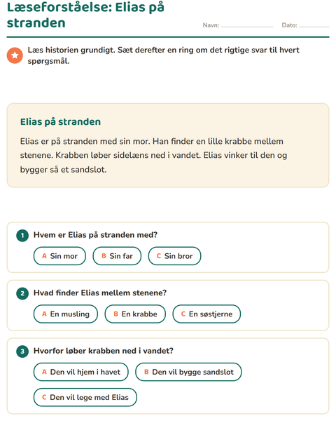 Læseforståelse: Elias på stranden