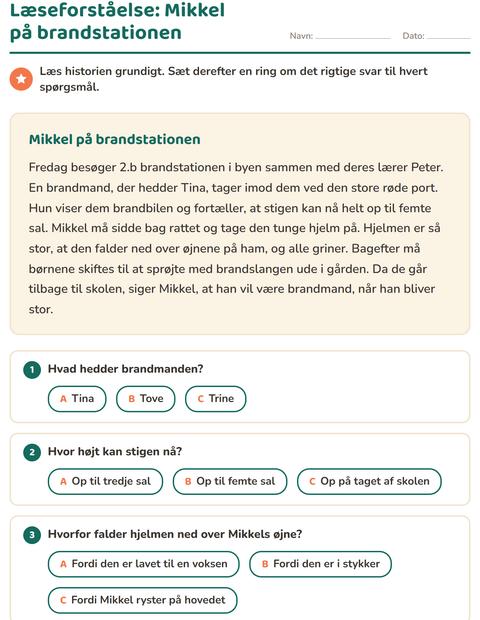 Forhåndsvisning af Læseforståelse-arbejdsark til 2. klasse