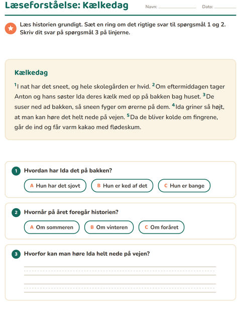 Forhåndsvisning af Læseforståelse-arbejdsark til 2. klasse