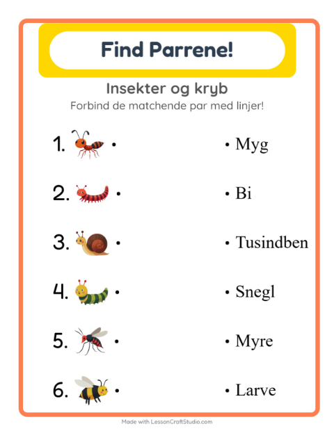 Forbind ord og billede – Insekter og kryb