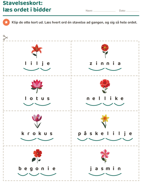 Forhåndsvisning af Ordkort med billeder-arbejdsark med Blomster til 1. klasse