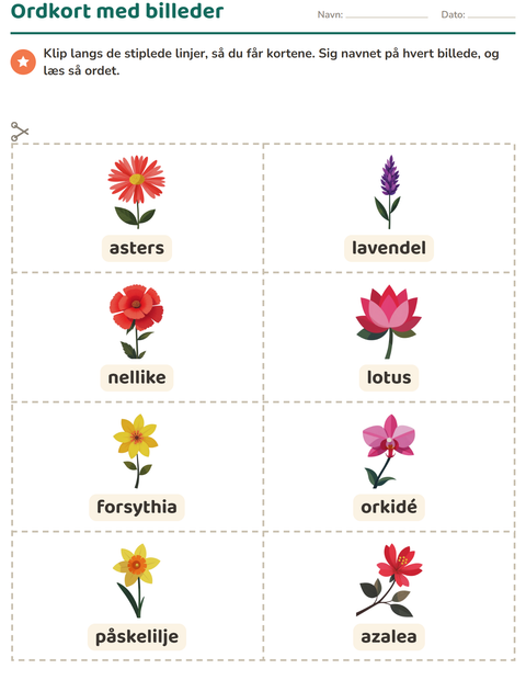 Forhåndsvisning af Ordkort med billeder-arbejdsark med Blomster til Børnehaveklasse