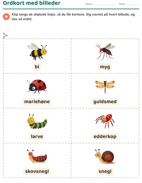 Forhåndsvisning af Ordkort med billeder-arbejdsark med Insekter og kryb til Børnehaveklasse