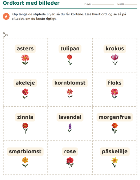 Forhåndsvisning af Ordkort med billeder-arbejdsark med Blomster til Børnehaveklasse