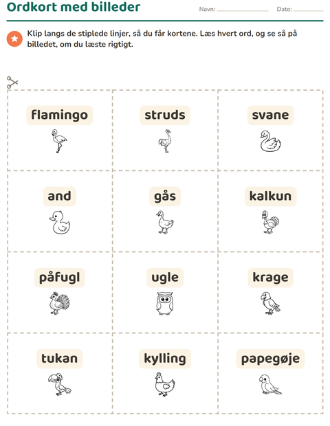 Forhåndsvisning af Ordkort med billeder-arbejdsark med Fugle S&H 2 til Børnehaveklasse