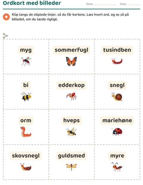 Forhåndsvisning af Ordkort med billeder-arbejdsark med Insekter og kryb til Børnehaveklasse