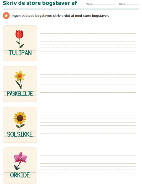Forhåndsvisning af Skriv ordene efter-arbejdsark med Blomster til Børnehaveklasse