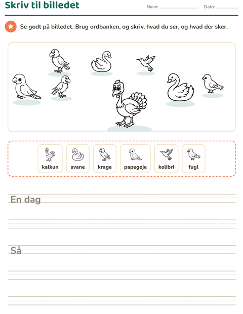 Forhåndsvisning af Skriv til billedet-arbejdsark med Fugle S&H 2 til 2. klasse