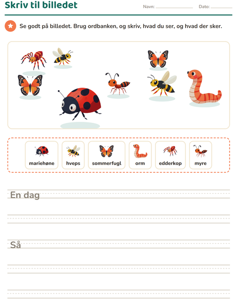 Forhåndsvisning af Skriv til billedet-arbejdsark med Insekter og kryb til 2. klasse