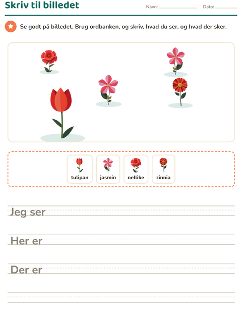 Forhåndsvisning af Skriv til billedet-arbejdsark med Blomster til 2. klasse