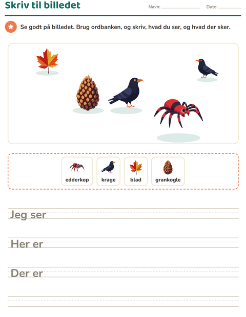 Forhåndsvisning af Skriv til billedet-arbejdsark med Diverse til 2. klasse