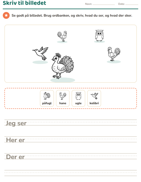 Forhåndsvisning af Skriv til billedet-arbejdsark med Fugle S&H 2 til 2. klasse