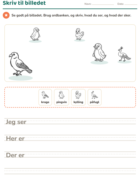 Forhåndsvisning af Skriv til billedet-arbejdsark med Fugle S&H til 2. klasse
