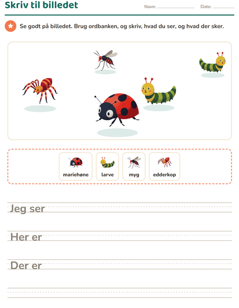 Forhåndsvisning af Skriv til billedet-arbejdsark med Insekter og kryb til 2. klasse