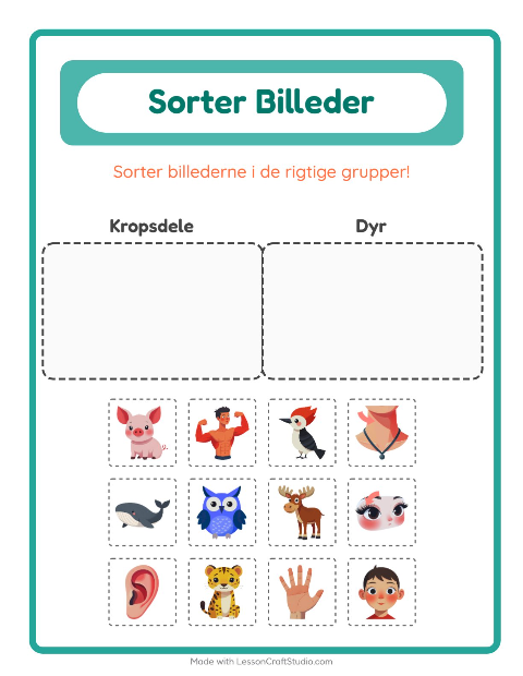 Sortér billederne: Kropsdele og Dyr