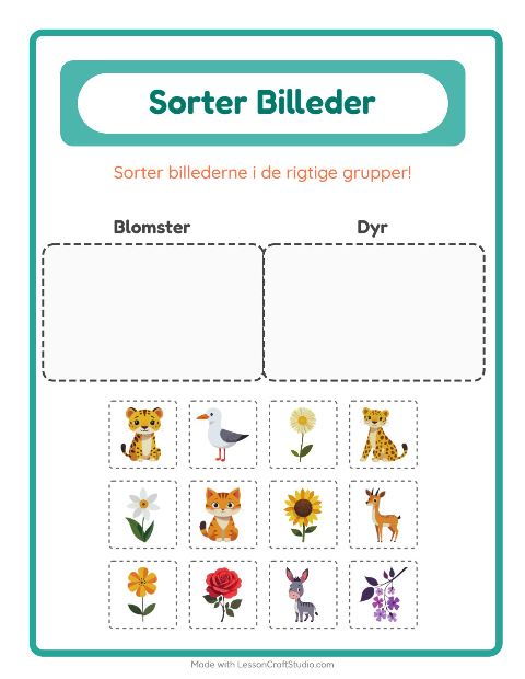 Sortér billederne: Blomster og Dyr