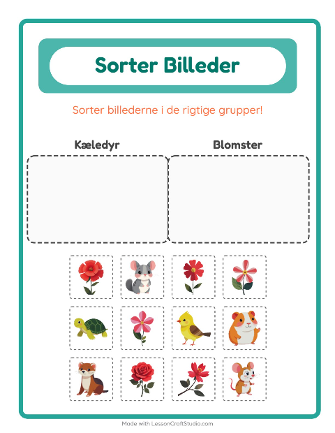Sortér billederne: Kæledyr og Blomster