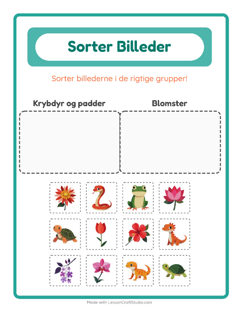 Sortér billederne: Krybdyr og padder og Blomster