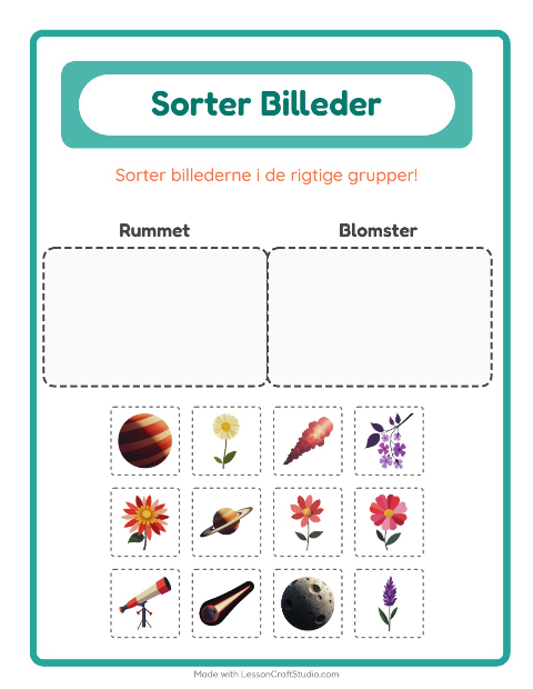 Sortér billederne: Rummet og Blomster