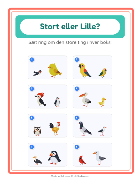 Størst og mindst – Fugle 2