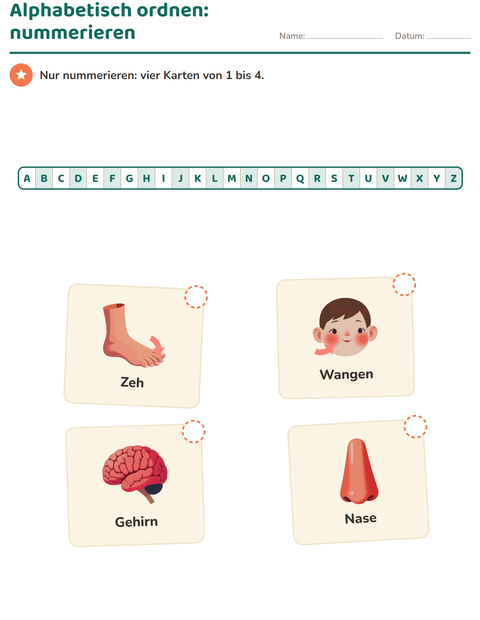 Vorschau: Alphabetisch ordnen-Arbeitsblatt mit Körperteile für 1. Klasse