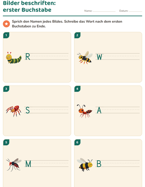 Vorschau: Bilder beschriften-Arbeitsblatt mit Insekten und Käfer für 1. Klasse