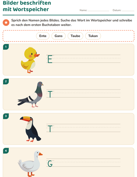 Vorschau: Bilder beschriften-Arbeitsblatt mit Dinge die fliegen für 1. Klasse