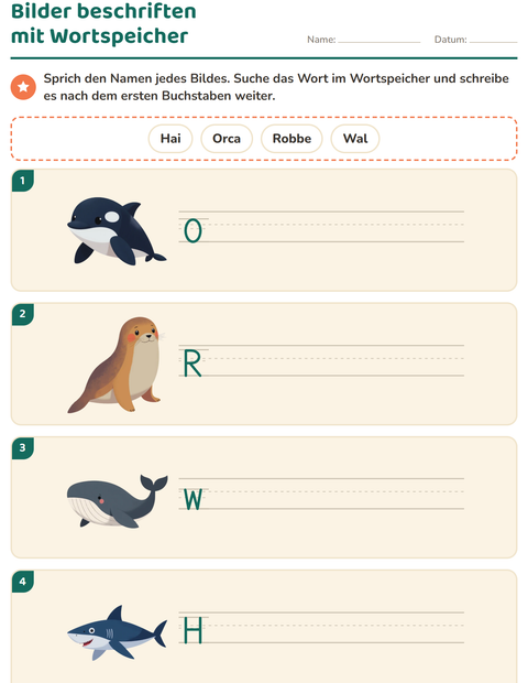 Vorschau: Bilder beschriften-Arbeitsblatt mit Meeresleben für 1. Klasse