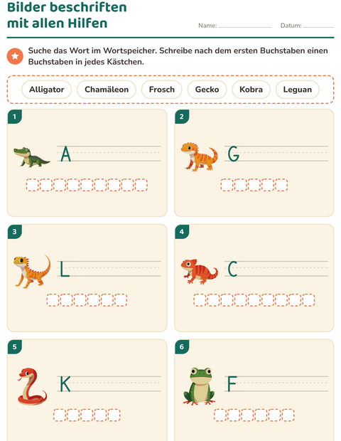 Vorschau: Bilder beschriften-Arbeitsblatt mit Reptilien und Amphibien für 1. Klasse
