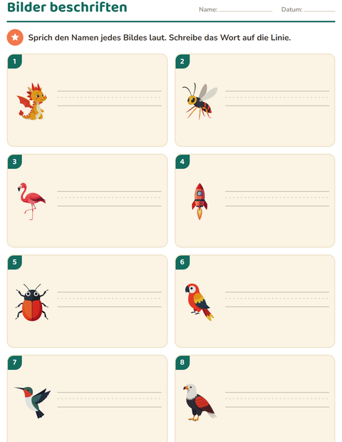 Vorschau: Bilder beschriften-Arbeitsblatt mit Dinge die fliegen für 1. Klasse