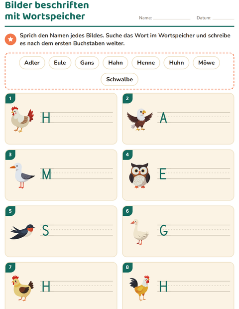 Vorschau: Bilder beschriften-Arbeitsblatt mit Vögel 2 für 1. Klasse
