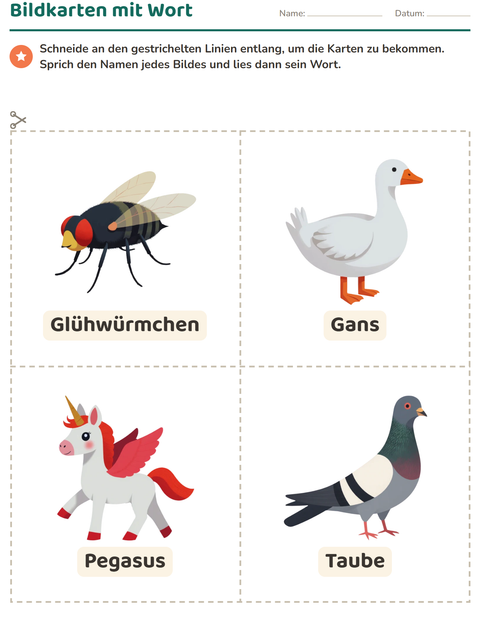 Vorschau: Bildkarten-Arbeitsblatt mit Dinge die fliegen für Kindergarten