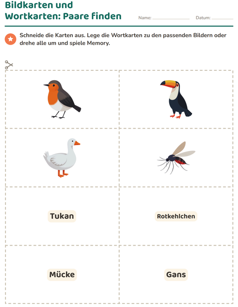 Vorschau: Bildkarten-Arbeitsblatt mit Dinge die fliegen für Kindergarten