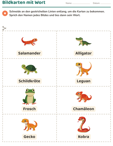 Vorschau: Bildkarten-Arbeitsblatt mit Reptilien und Amphibien für Kindergarten