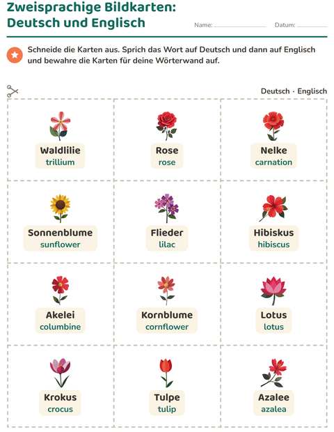 Vorschau: Bildkarten-Arbeitsblatt mit Blumen für Kindergarten