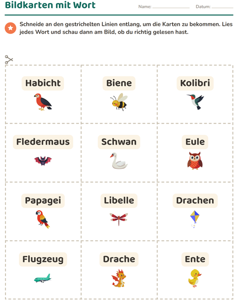 Vorschau: Bildkarten-Arbeitsblatt mit Dinge die fliegen für Kindergarten
