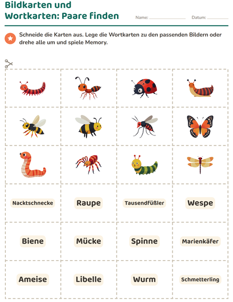 Vorschau: Bildkarten-Arbeitsblatt mit Insekten und Käfer für Kindergarten