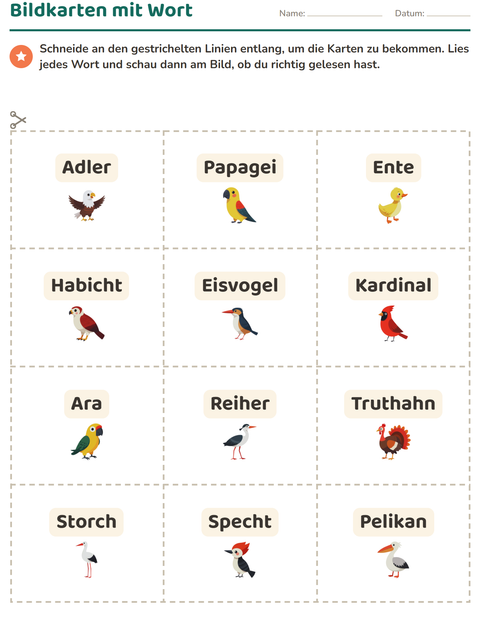 Vorschau: Bildkarten-Arbeitsblatt mit Vögel 2 für Kindergarten